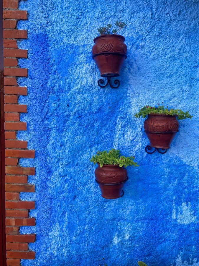 Villa Authentique Avec Vue Panoramique A 3 Km De Chefchaouen Esterno foto